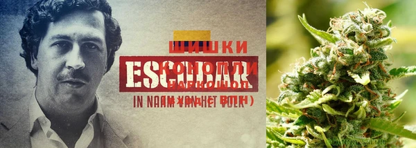 кристаллы Новодвинск