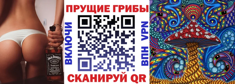 мега сайт  Рыбное  Галлюциногенные грибы мицелий 